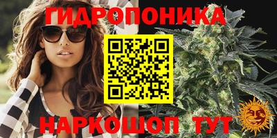 МДПВ Краснознаменск
