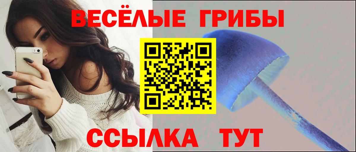 Галлюциногенные грибы MAGIC MUSHROOMS Кисловодск